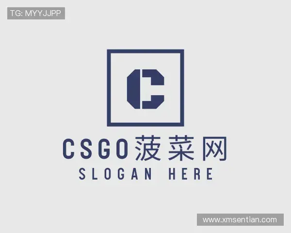 关于csgo菠菜网
